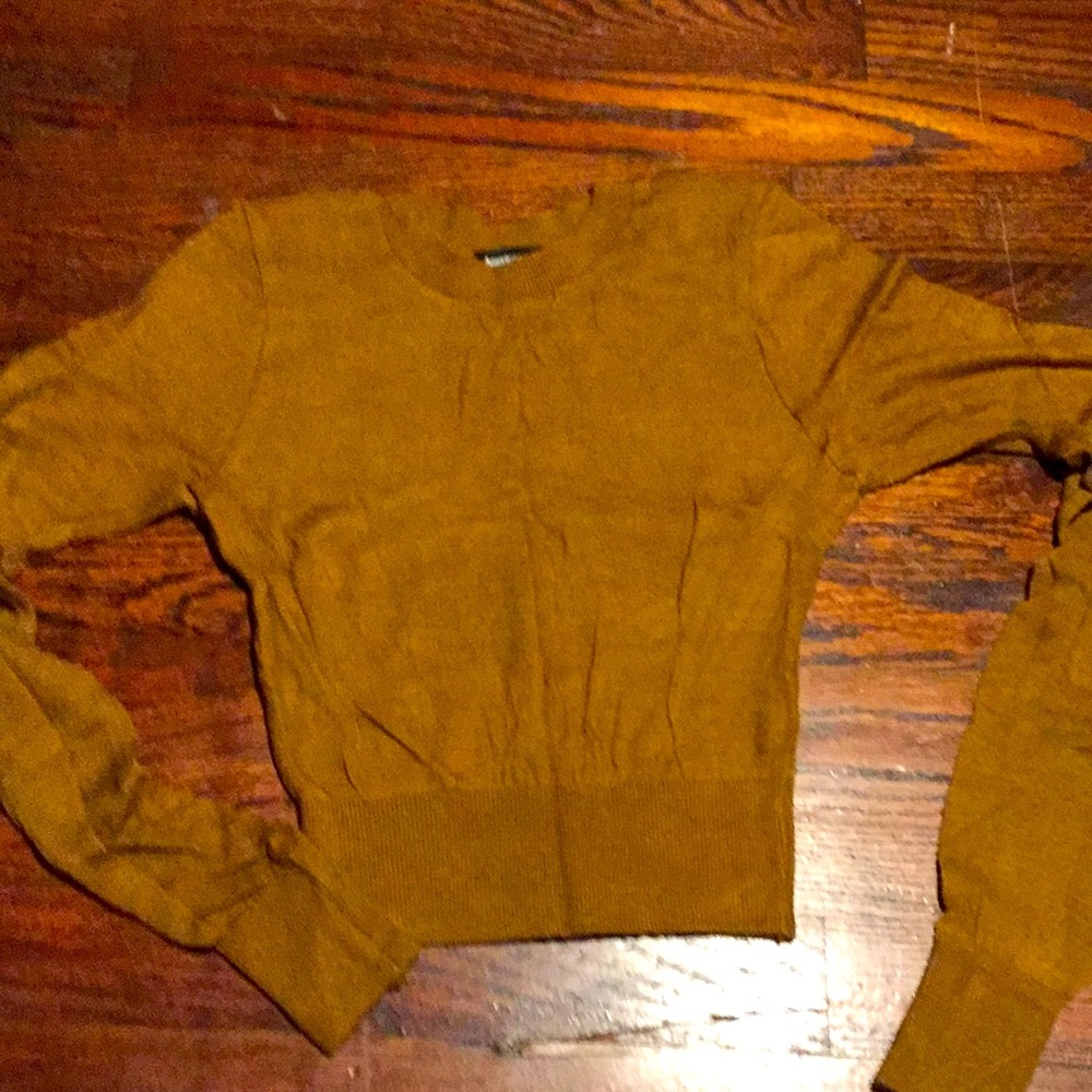 American Apparel Cropped Sweater Brown